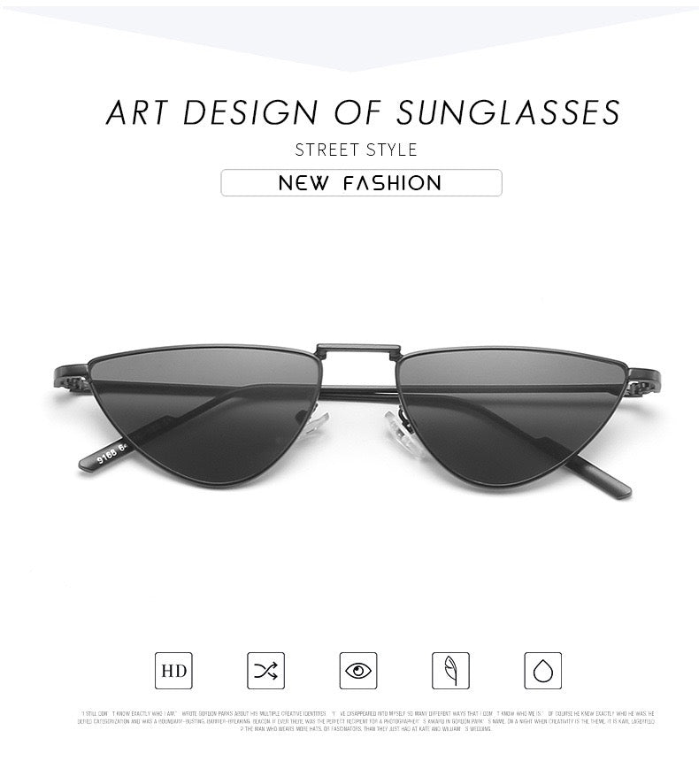 Sunglasses C40